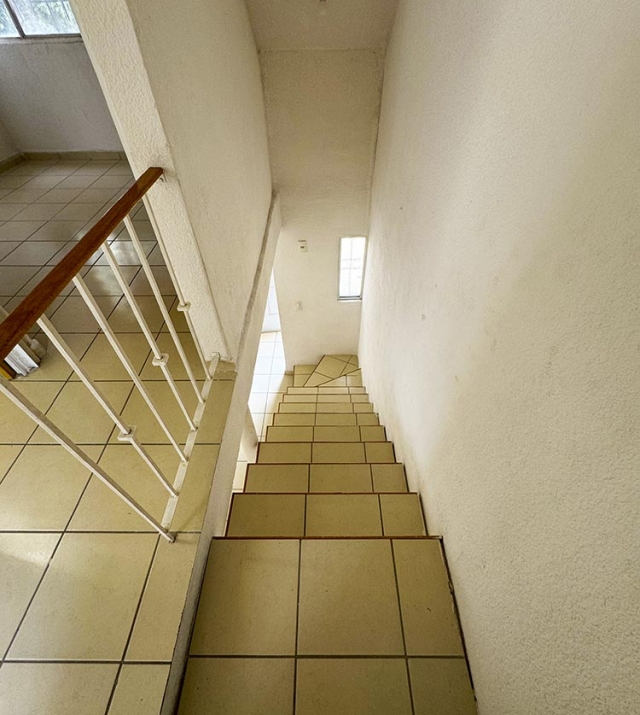 PASEOS DE LA CONFIANZA II  70 8.jpg